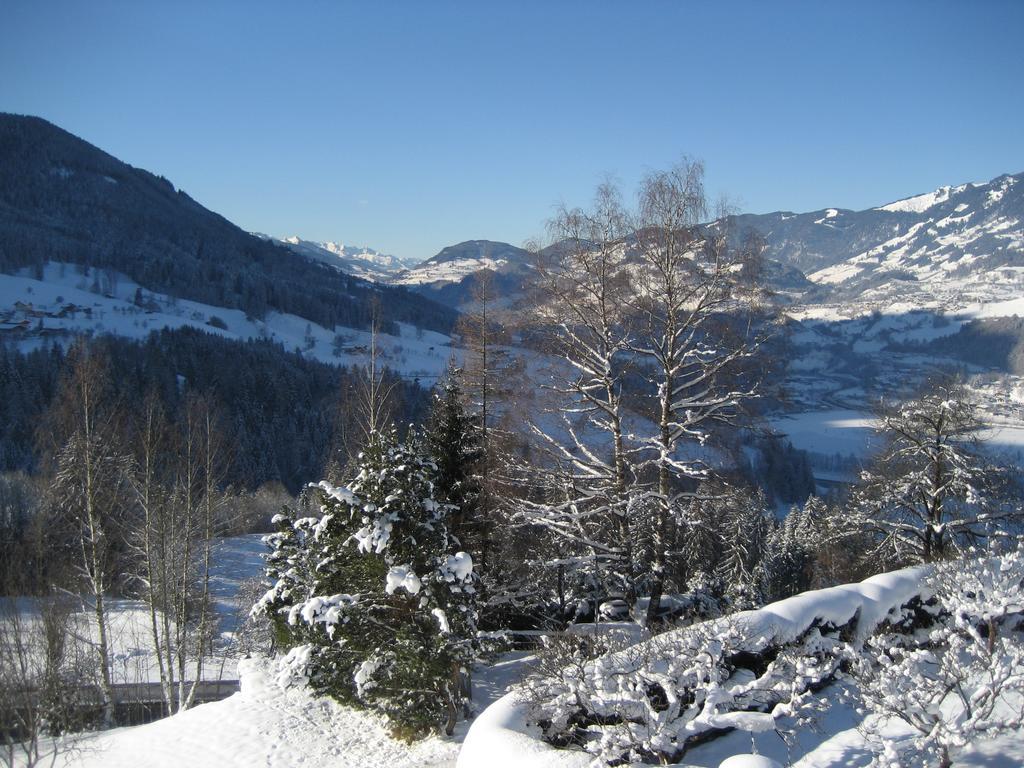Haus Voithofer Apartamento Sankt Johann im Pongau Exterior foto